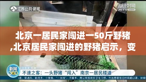 第5408页