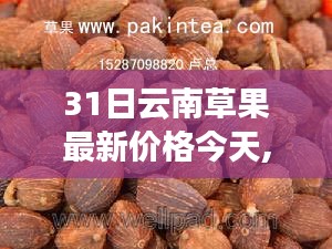 神采奕奕 第68页