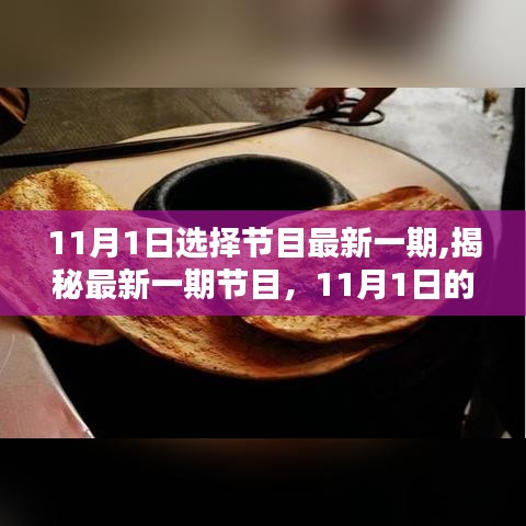揭秘最新一期节目精彩瞬间，11月1日的精彩回顾