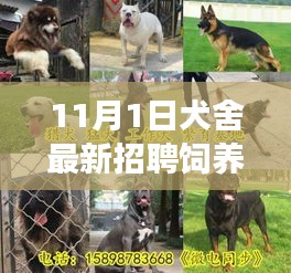 神采奕奕 第67页
