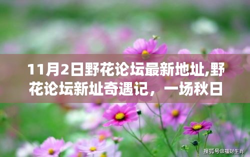 嗅APP 第1271页