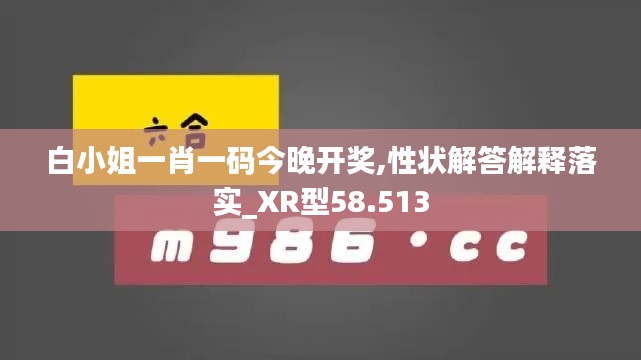白小姐一肖一码今晚开奖,性状解答解释落实_XR型58.513