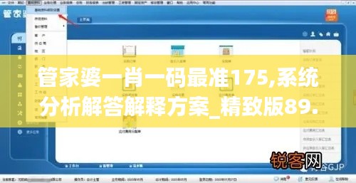 管家婆一肖一码最准175,系统分析解答解释方案_精致版89.569