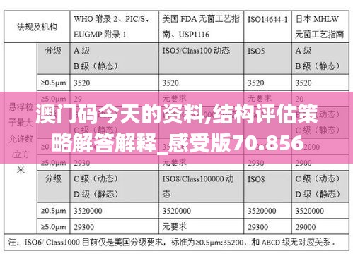澳门码今天的资料,结构评估策略解答解释_感受版70.856