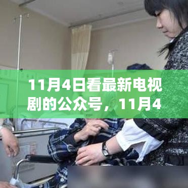 11月4日追新剧启程，探索自然秘境，寻找内心宁静与微笑的公众号