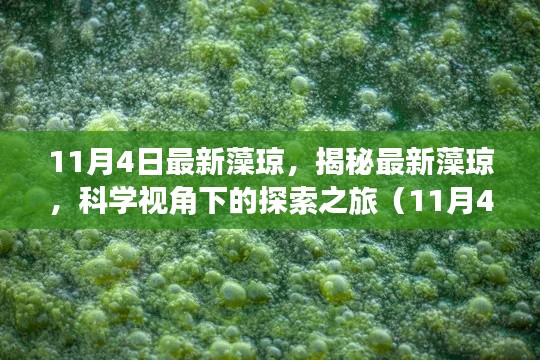 第5256页