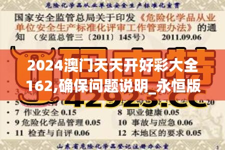 2024澳门天天开好彩大全162,确保问题说明_永恒版98.73