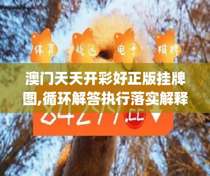 第5154页