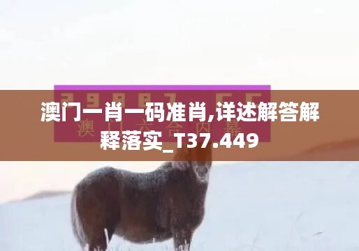 对答如流 第50页