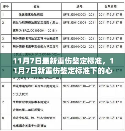 11月7日新重伤鉴定标准下的心灵疗愈与自然美景探索之旅