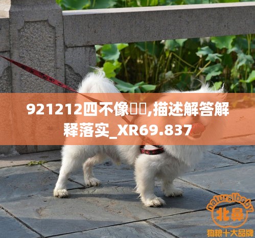 九死一生 第48页