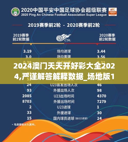 2024澳门天天开好彩大全2024,严谨解答解释数据_场地版13.148