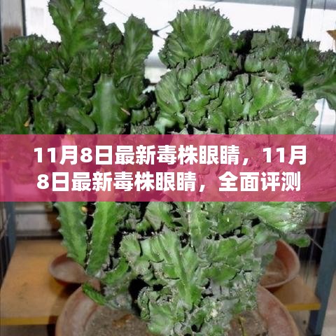 神采奕奕 第45页