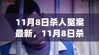 11月8日杀人冤案揭秘，真相、深度解析与司法公正的思考