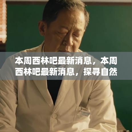 没精打采 第40页