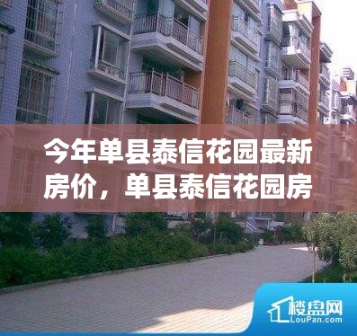 单县泰信花园最新房价动态，背景、影响与时代地位分析
