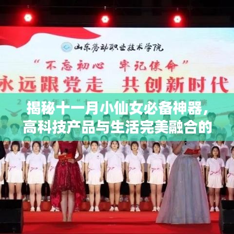 fengniaobuzhi 第24页