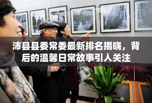 biwafeimeng 第25页