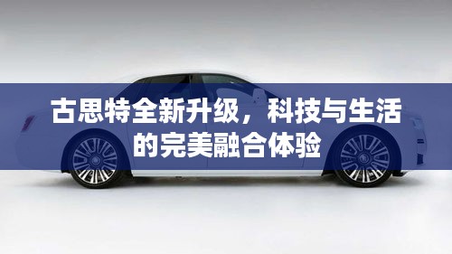 关于我们 第762页