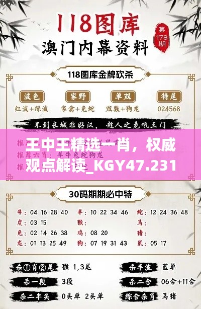 王中王精选一肖，权威观点解读_KGY47.231闪电版