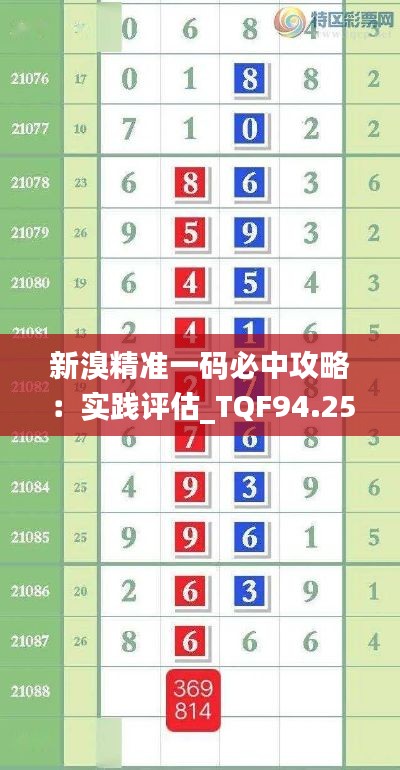新溴精准一码必中攻略：实践评估_TQF94.254社区版