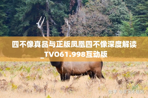 haozhengyixia 第24页