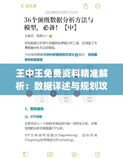 王中王免费资料精准解析：数据详述与规划攻略_JSG47.573通用版
