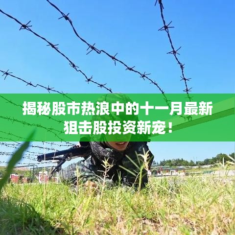 正版内容 第893页