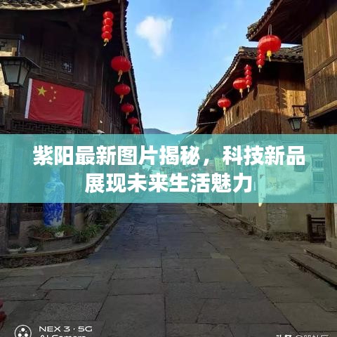 花开无言 第35页