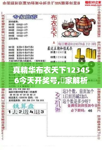 真精华布衣天下123456今天开奖号,專家解析意見_PWZ76.532轻奢版