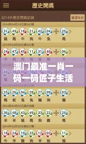 feipuliuquan 第24页