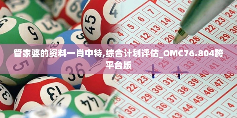 管家婆的资料一肖中特,综合计划评估_OMC76.804跨平台版