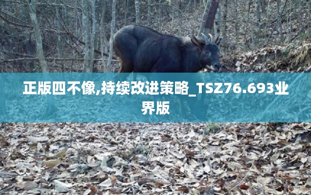 qinshouyimei 第23页