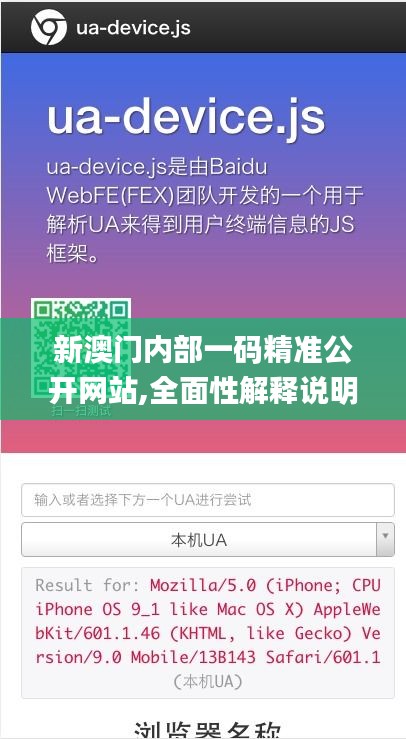 新澳门内部一码精准公开网站,全面性解释说明_KRP76.230自由版