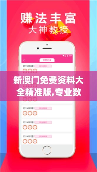 新澳门免费资料大全精准版,专业数据解释设想_DGB76.100外观版