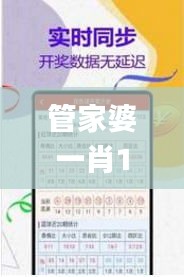 管家婆一肖100,识见解答解释落实_IOR5.74.77最佳版