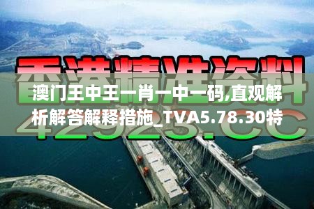 澳门王中王一肖一中一码,直观解析解答解释措施_TVA5.78.30特殊版