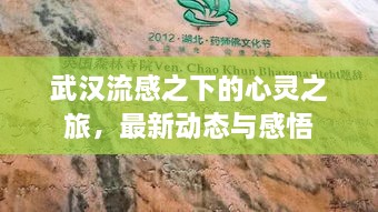 武汉流感之下的心灵之旅，最新动态与感悟