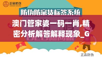 澳门管家婆一码一肖,精密分析解答解释现象_GQH8.78.90投资版