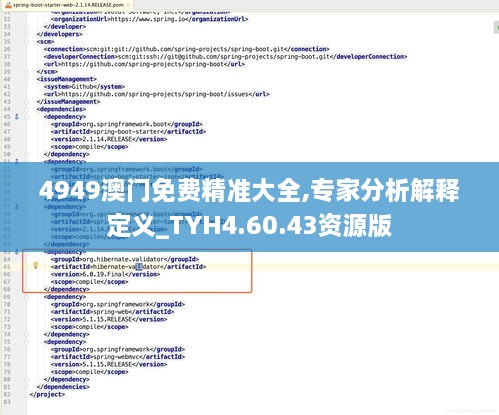 4949澳门免费精准大全,专家分析解释定义_TYH4.60.43资源版