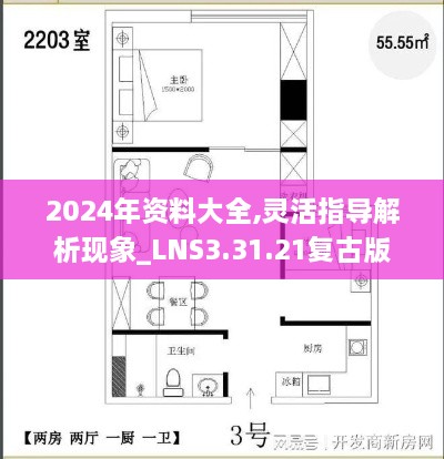 2024年资料大全,灵活指导解析现象_LNS3.31.21复古版