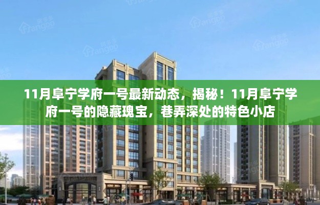 揭秘阜宁学府一号11月最新动态，巷弄深处的特色小店与隐藏瑰宝