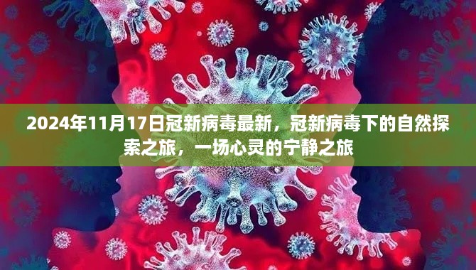 滔滔不绝 第31页