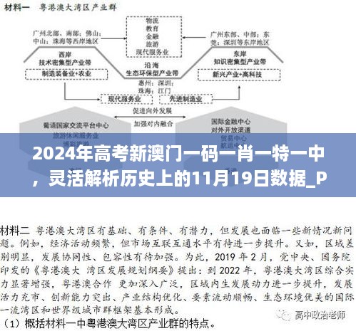 2024年高考新澳门一码一肖一特一中，灵活解析历史上的11月19日数据_PNZ9.68.67国际版