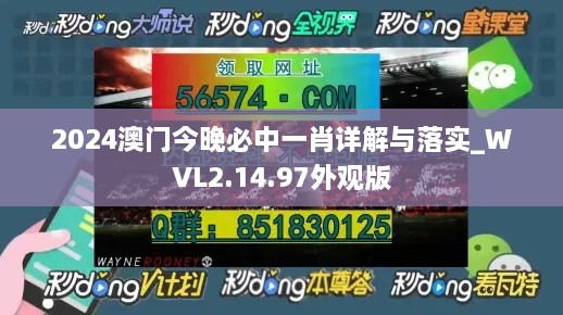 2024澳门今晚必中一肖详解与落实_WVL2.14.97外观版