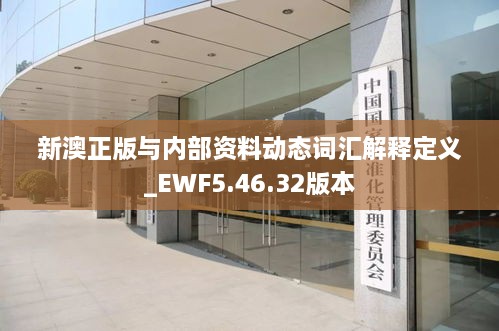 新澳正版与内部资料动态词汇解释定义_EWF5.46.32版本