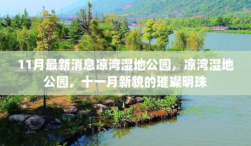 目不转睛 第29页