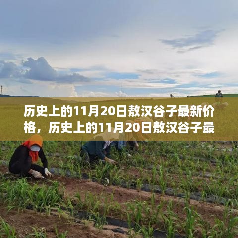 橘虞初梦 第26页