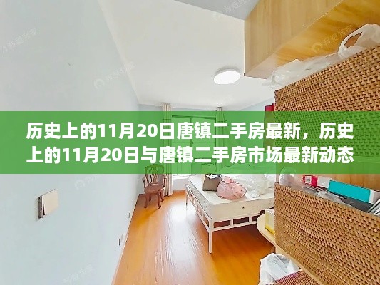 历史上的11月20日唐镇二手房市场最新动态概览