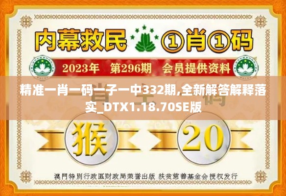 精准一肖一码一子一中332期,全新解答解释落实_DTX1.18.70SE版